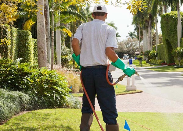 About Monterey MA Pest Control Pros